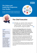 Changing healthcare cultures – through collective leadership: The Chief Executive